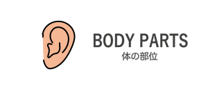 BODY and FACE PARTS